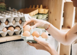 ФАС проверит поставщиков на избыточную жадность – яйца в Анапе не дешевеют