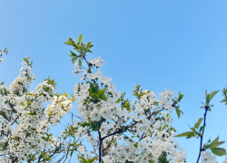 Во Всемирный день свободы печати в Анапе солнечно