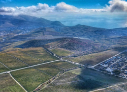 250 га сельхозземель в Анапе все-таки могут застроить