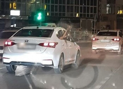 В Анапе из иномарки на ходу на вытянутой руке держали кошку из окна автомобиля