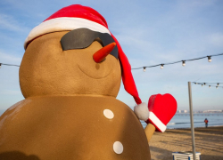 Зим-Зимыч или Горгиппка – анапчане выбирают имя песковику