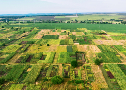 Многодетные семьи Кубани оформили в собственность свыше 18 тысяч земельных участков