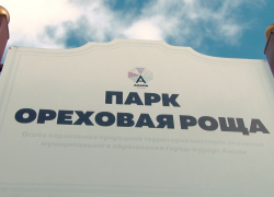 Ограждение у парка «Ореховая роща» стало яблоком раздора между мэрией и анапчанами