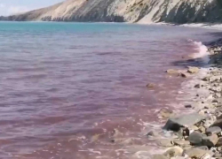 Черное моря у берегов Анапы стало красным