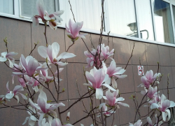 Гороскоп для анапчан с 3 по 9 октября: Скорпионы могут рассчитывать на поддержку влиятельных людей