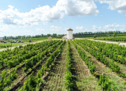 День открытых дверей проведёт "Винная деревня" под Анапой