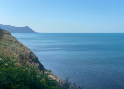 Ветрено и тепло: в Анапе повысится температура воздуха