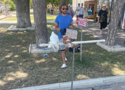 Полицейские Анапы изъяли голубей у уличного фотографа