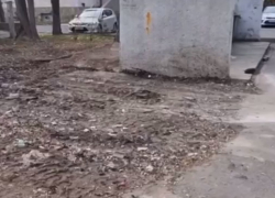 После публикации в «Блокноте» на улице Крымской, 181 в Анапе оперативно ликвидировали свалку