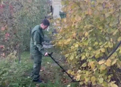  Следственные действия в доме убитого стрелка под Анапой продолжаются
