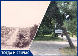 66 лет спустя: что было до сквера Гудовича 