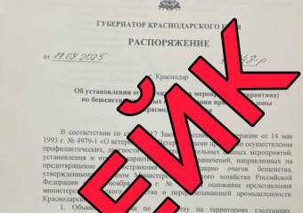 В соцсетях сообщается о введении карантина по бешенству животных в прибрежной зоне