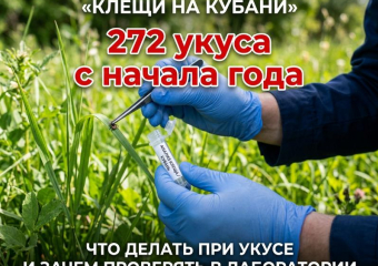 С начала года от укусов клещей на Кубани пострадало 272 человека, 107 из которых — дети