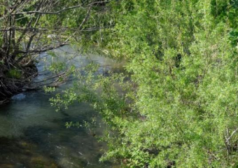 История Анапы: откуда у реки Маскага такое странное название и что оно значит 