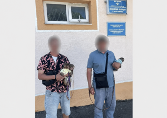 В Геленджике у пляжных фотографов забрали обезьянок: мужчин проверяют по статье о жестоком обращении с животными