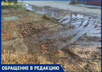 «Дальше обещаний дело не идет»: анапчанин просит помощи