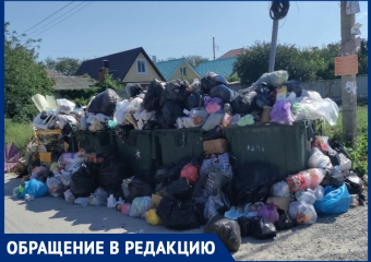 «Огромное "спасибо" регоператору: о вывозе мусора в Анапе