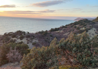 «Я никогда бы не переехала туда»: жительница Урала видела Анапу во все времена года