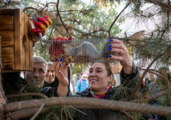 В сквере Гудовича Анапы поселили новых пушистых жителей - белок