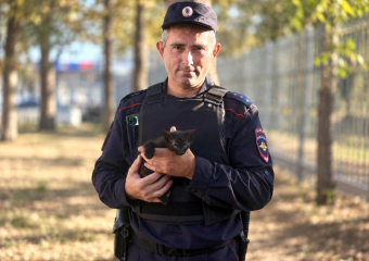 В Анапе полицейские спасли котёнка с дерева — теперь Черныш живёт в отделе МВД