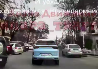 Собаку переехали на пешеходном переходе в Анапе: водитель скрылся