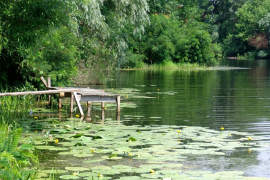 Рыбалка на территории эко-туристического комплекса «Ферма»
