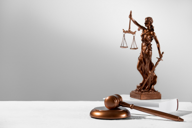 Услуги юриста по узакониванию самостроя - 