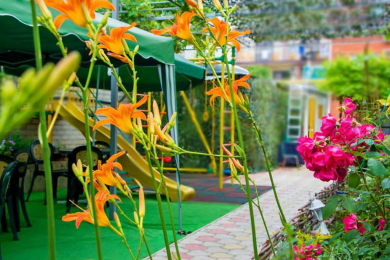 Уютные номера "Анапалиса" - 