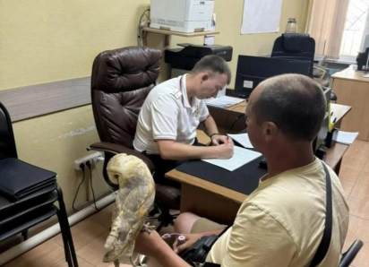 Фото с совами и голубями на пляжах Анапы: полиция пресекает незаконный бизнес