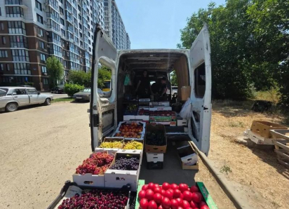 В Анапе с начала лета составили более 530 протоколов на торговцев-нарушителей