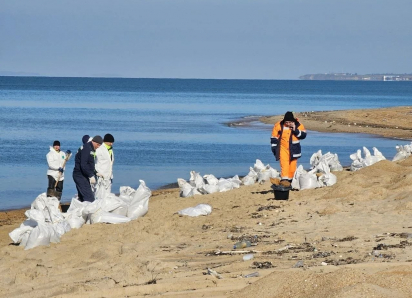 Что известно о ситуации с выбросом мазута в Анапе и гибелью животных