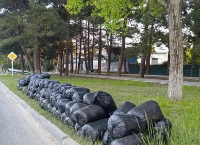 Анапа выходит на пик санитарной подготовки к курортному сезону