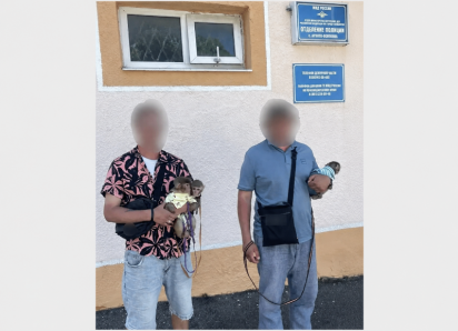 В Геленджике у пляжных фотографов забрали обезьянок: мужчин проверяют по статье о жестоком обращении с животными