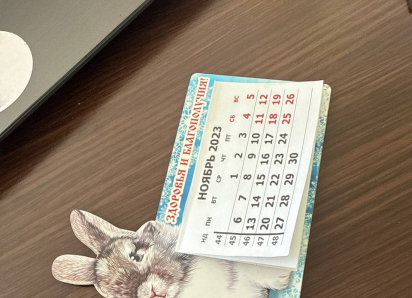 Новогодние каникулы могут продлить 