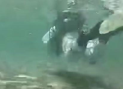 Искали мазут: что обнаружили дайверы на дне моря у Анапы