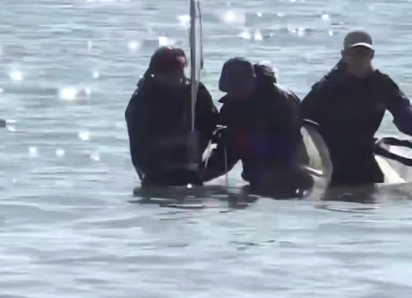 Ученые оценили восстановление морского дна после ЧС в Анапе