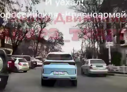 Собаку переехали на пешеходном переходе в Анапе: водитель скрылся