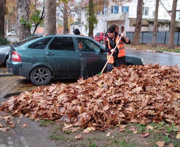 Дворники в Анапе собрали 5 тысяч кубометров листвы
