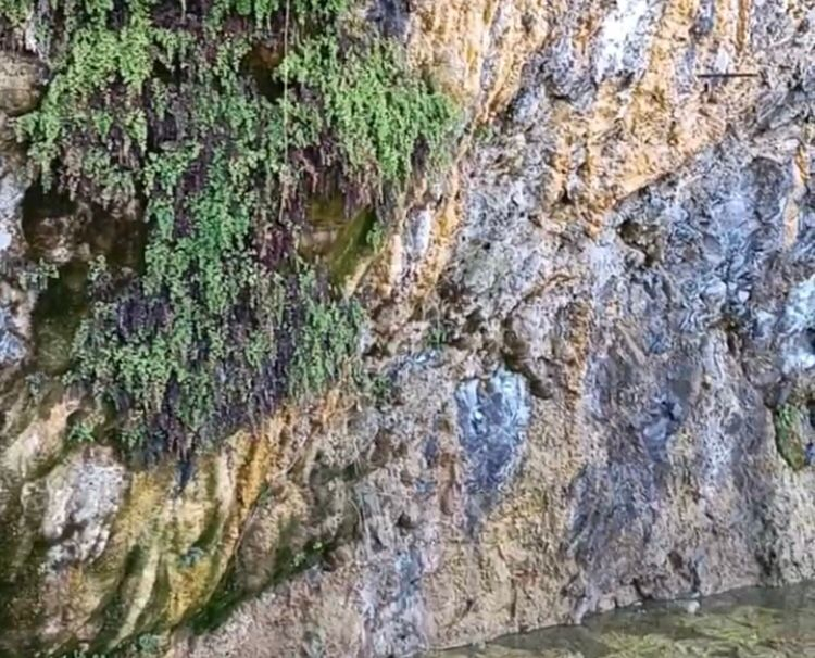 Оазис уединения с природой : в Анапе можно увидеть «Плачущие скалы»