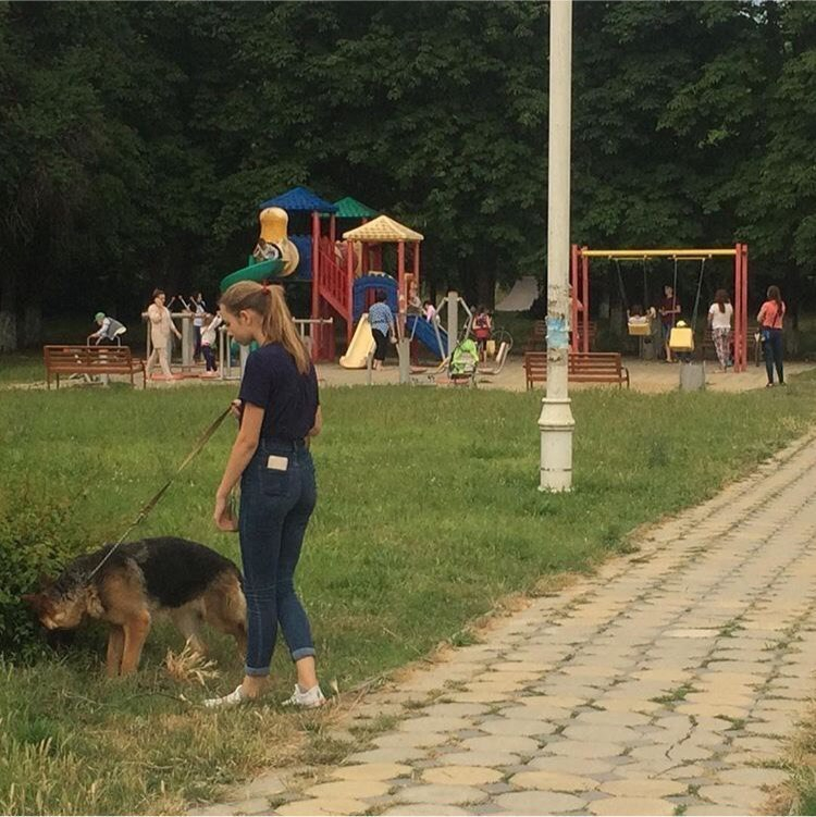 Анапчан возмущает выгул собак около детских площадок