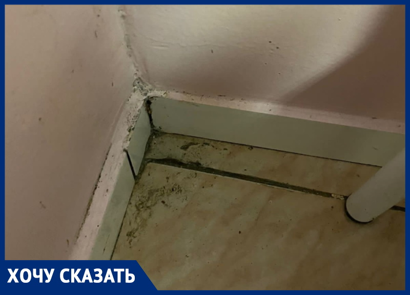 «Грязь и пыль»: Анна Мамуркова возмущена условиями в Детской городской больнице Анапы