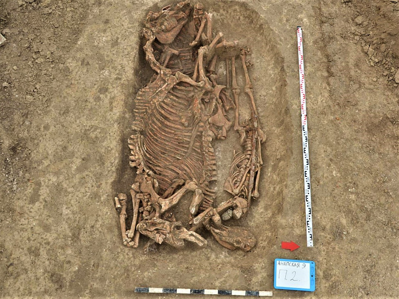 В станице Анапской обнаружили античный могильник возрастом в две тысячи лет