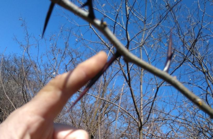 Маленькие анапчане могут сесть на иглу: пора принимать срочные меры