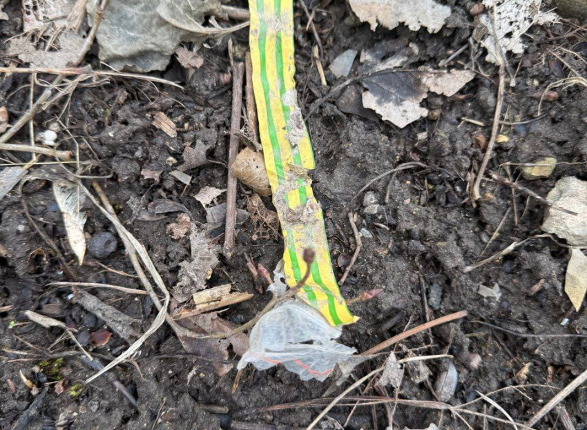 Заброшенный участок в Анапе стал опасной зоной для жителей