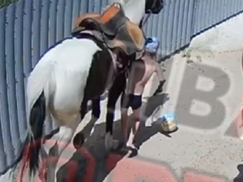 Сбитый лошадью в Анапе ребенок нуждается в дополнительном обследовании