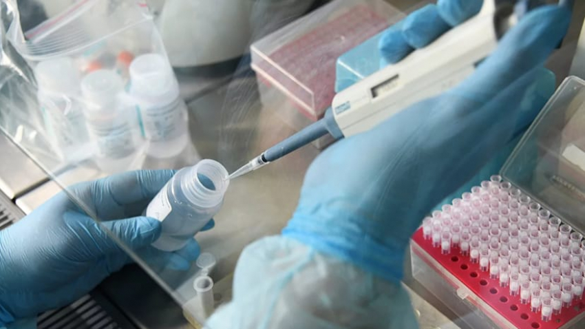 Где на Кубани выявлены 13 новых случаев коронавирусной инфекцией? 