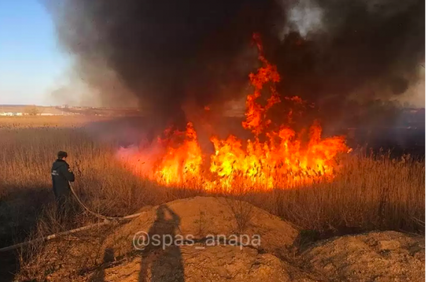 Анапские плавни снова горят. Кто поджёг на этот раз?