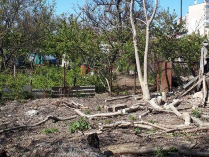 Нужно расчистить участок от зарослей? Заходи в справочник
