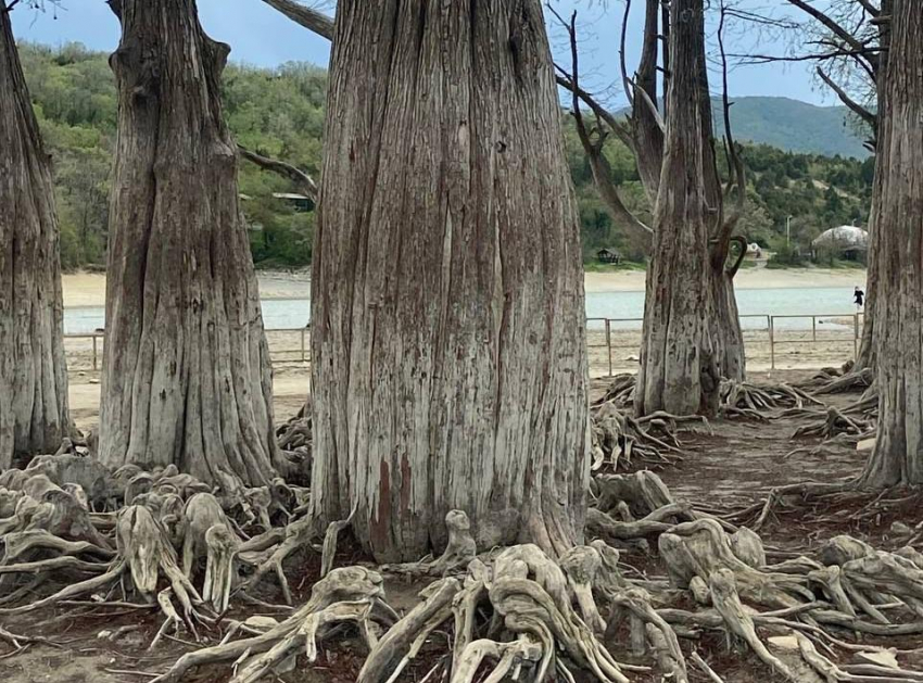 В Международный день танца в Анапе пасмурно