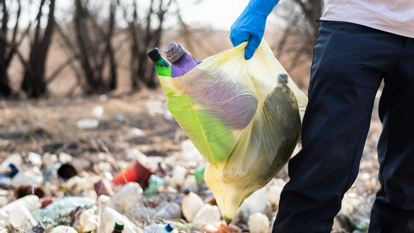  Пластик в Анапе: чем опасен и как утилизировать